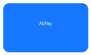 支付宝电子钱包支付